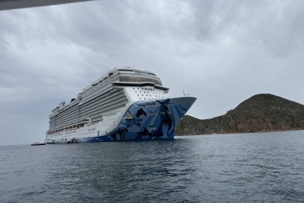 Norwegian Cruise Line’s Last-Minute Deals: How They Work