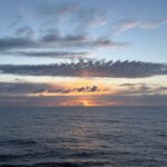 Norwegian Cruise Line Free at Sea: What It’s Actually Worth (Real Numbers & Examples)