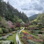 We Skipped the Excursion in Victoria… and It Ended Up Being the Best Part of Our Cruise