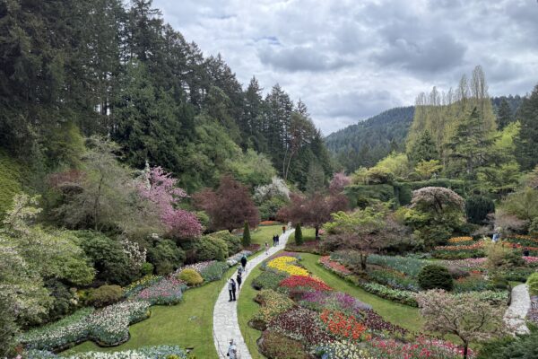 We Skipped the Excursion in Victoria… and It Ended Up Being the Best Part of Our Cruise