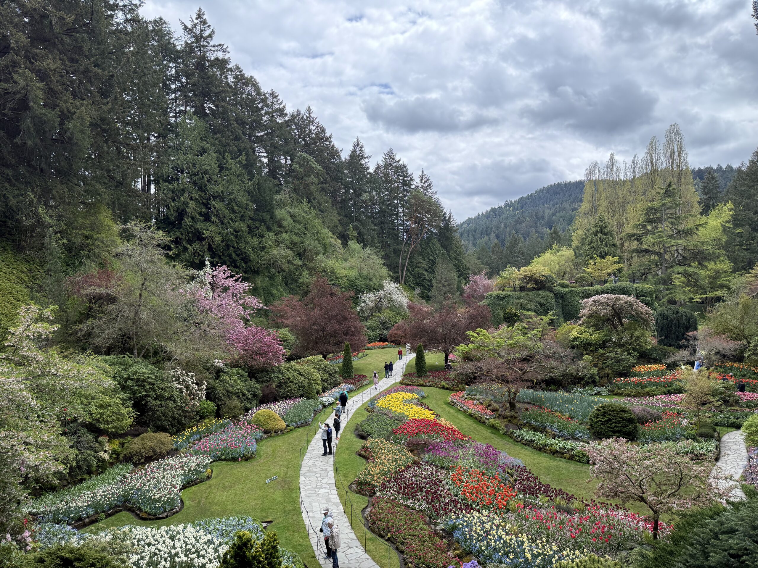 We Skipped the Excursion in Victoria… and It Ended Up Being the Best Part of Our Cruise